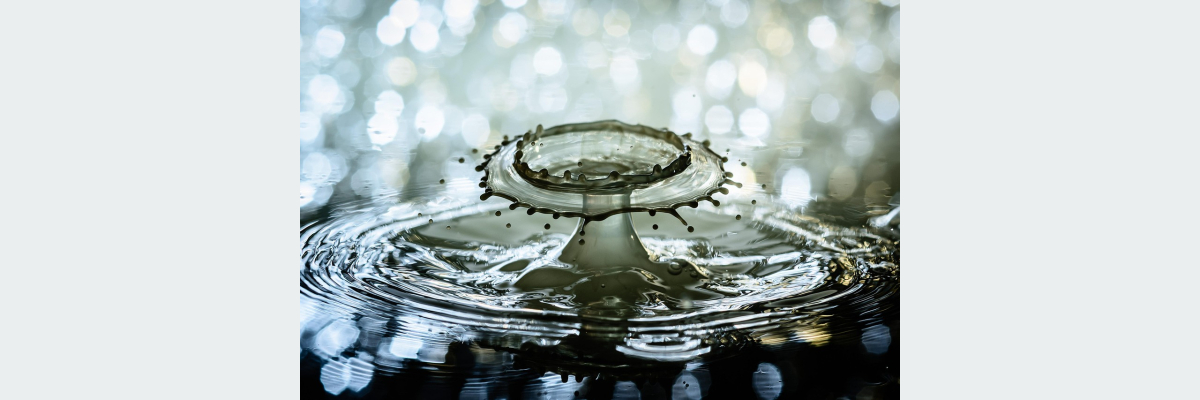 Silizium flüssig im Vergleich: Wie hoch dosiert sind flüssige Silizium-Produkte wirklich? - Silizium flüssig im Vergleich – hochdosiert &amp;amp;amp;amp;amp;amp;amp;amp;amp;amp;amp; ergiebig?