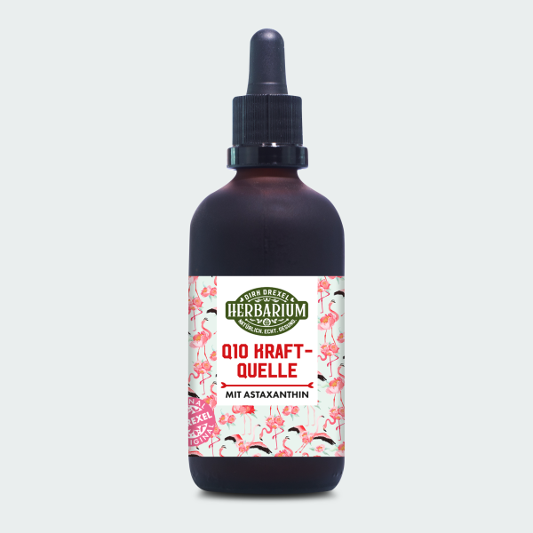 Q10 Kraftquelle