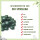 Bio-Spirulina