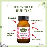Reizleitung