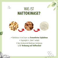 Nattokinase