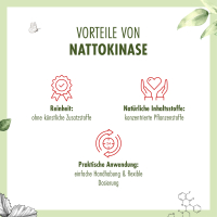 Nattokinase