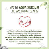 Aqua Silizium