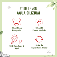 Aqua Silizium