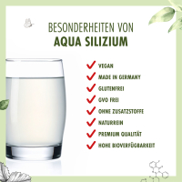 Aqua Silizium