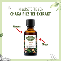 Chaga Pilz Tee-Extrakt Tropfen