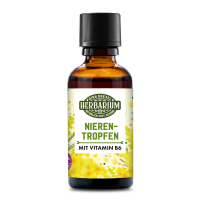 Nierentropfen