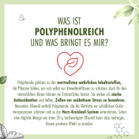 Polyphenol Reich