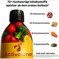 ActiveOne Mikronährstoffkonzentrat 300ml
