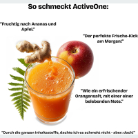 ActiveOne Mikronährstoffkonzentrat 300ml